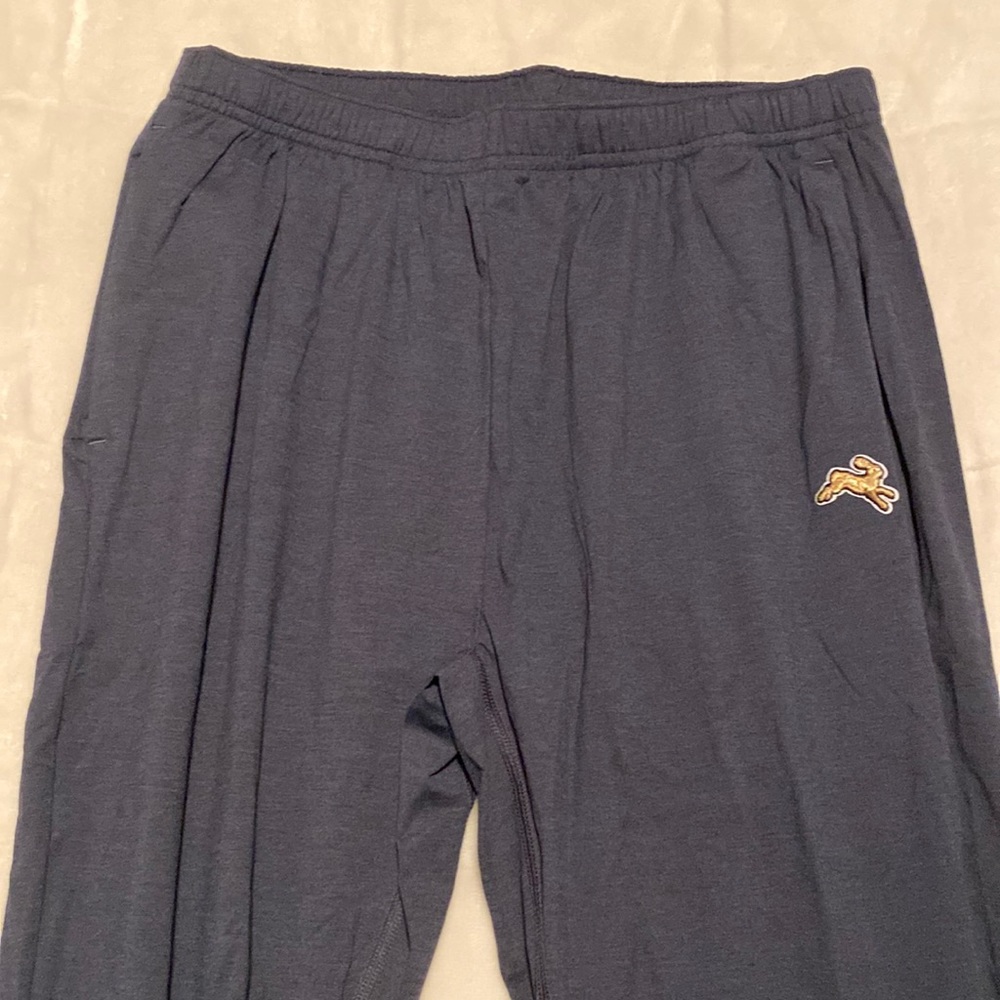 NWOT Tracksmith wind pants